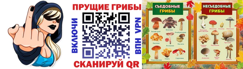 Галлюциногенные грибы мухоморы  MEGA как войти  Среднеколымск 